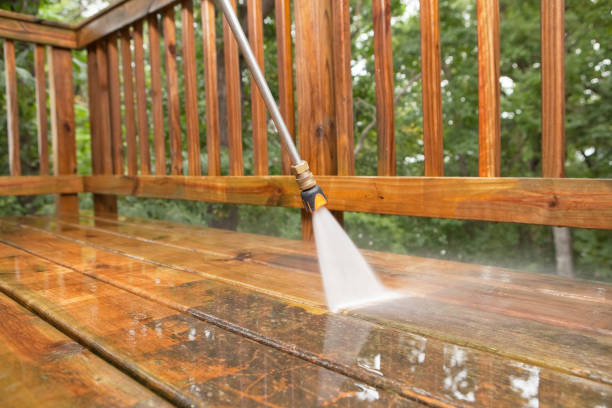 Best Dumpster Area Cleaning  in Orida Gulf Coast University, FL